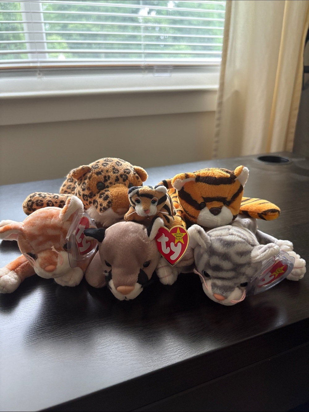Ty Plush Cat and Big Cat Pack - Orange, Brown, Tan, Gray